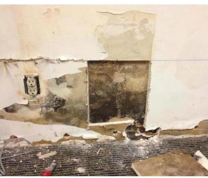 Wall with extensive mold damage.