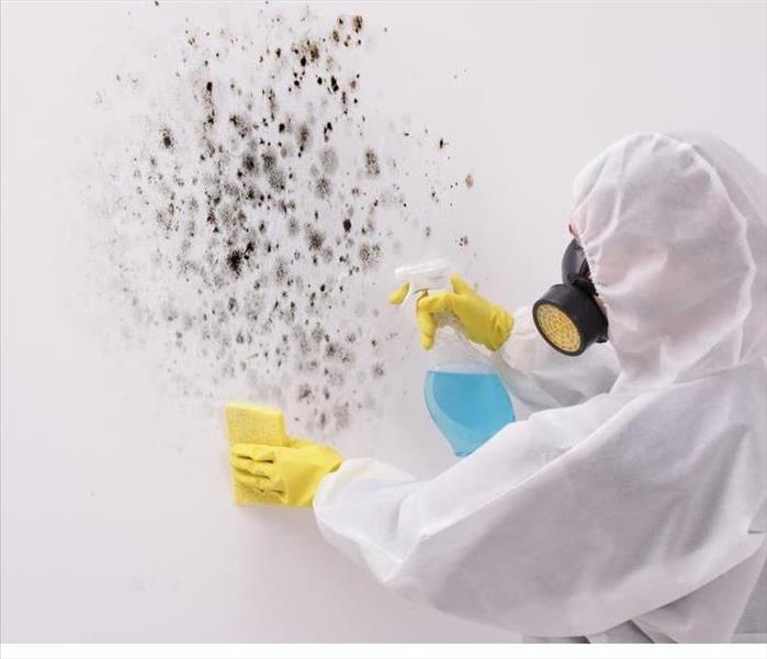 mold removal